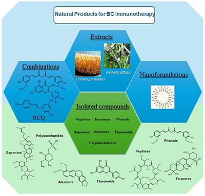 Natural products as promising modulators of breast cancer immunotherapy